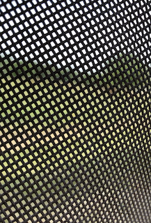looking through the mesh fabric of a flymask