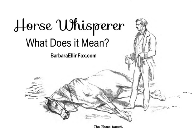 Horse Whisperer BarbaraEllinFox.com