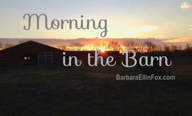 morning BarbaraEllinFox.com