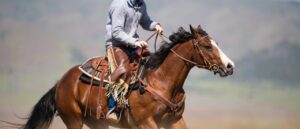 A cowboy galloping on a brown horse