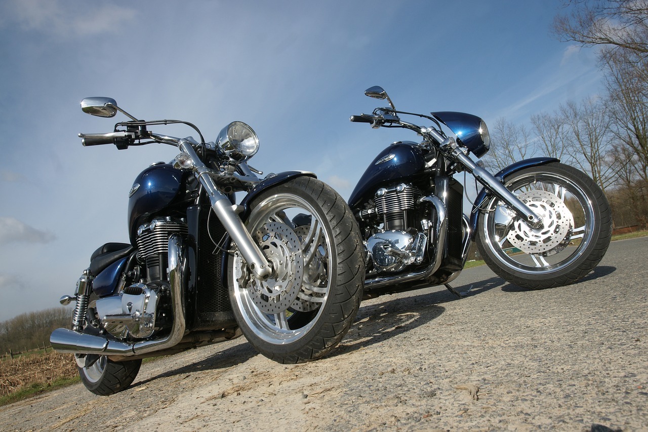 Two blue and chrome motorcycles https://BarbaraEllinFox.com