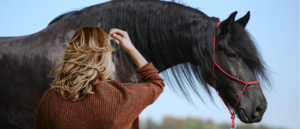A woman with blonde hair facing a large black horse. Rylie Davis Remember Nt's Heroine