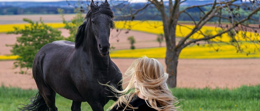 A blonde woman with a black horse