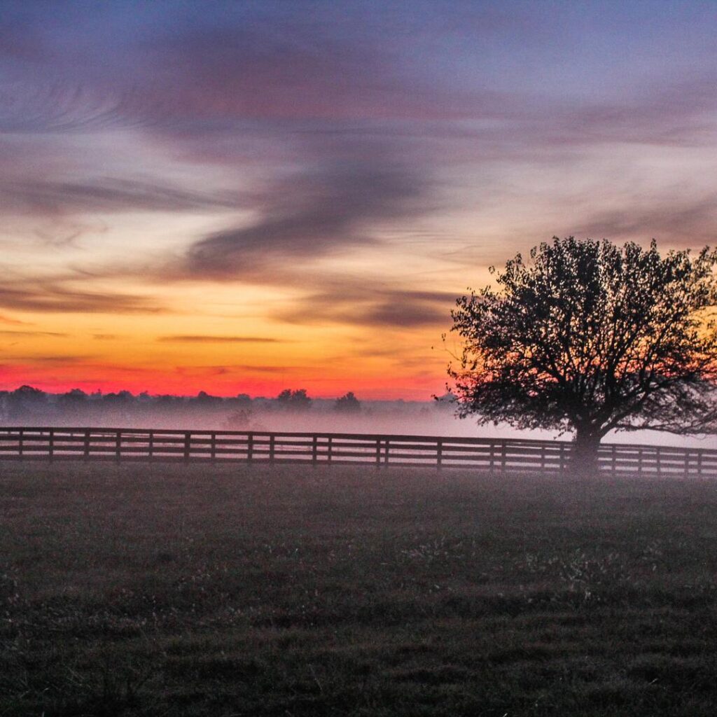 Sunset in Texas Many Lives Ranch