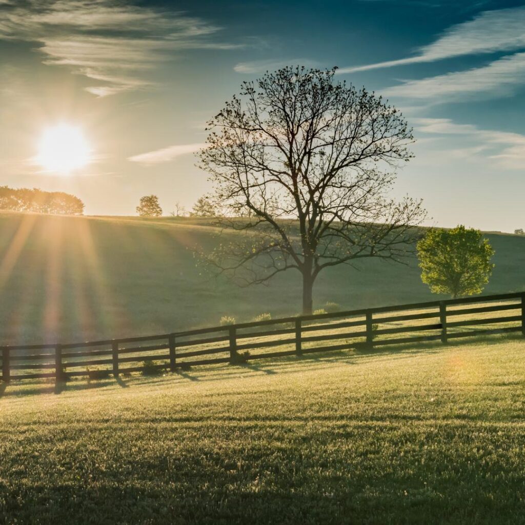 Sunrise over a farm Many Lives Ranch