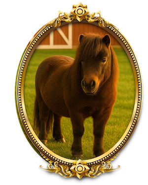3 Hoover, the mischievous brown pony from Meadow Lane Farm, standing on green grass near the red barn.